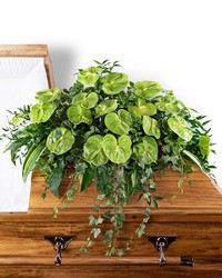 Tropical Haven Casket Spray from Schultz Florists, flower delivery in Chicago