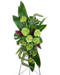 Tropical Haven Standing Spray from Schultz Florists, flower delivery in Chicago