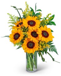 Sunflowers and Love Knots from Schultz Florists, flower delivery in Chicago