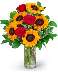 Rosy Sunflowers from Schultz Florists, flower delivery in Chicago