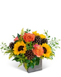Harvest Sunburst Harmony from Schultz Florists, flower delivery in Chicago