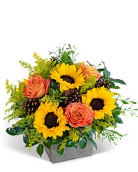 Woodland Sunshine from Schultz Florists, flower delivery in Chicago