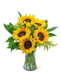 Sprinkle of Sunflowers from Schultz Florists, flower delivery in Chicago