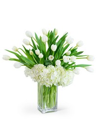 White Elegance from Schultz Florists, flower delivery in Chicago