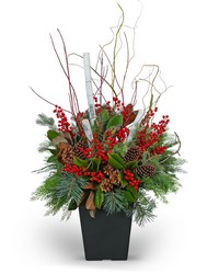 Winter Porch Pot from Schultz Florists, flower delivery in Chicago