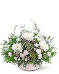 Arctic Aura from Schultz Florists, flower delivery in Chicago