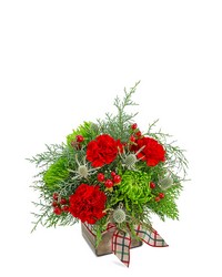 Plaid Tidings from Schultz Florists, flower delivery in Chicago