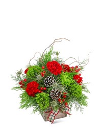 Festive Tidings from Schultz Florists, flower delivery in Chicago