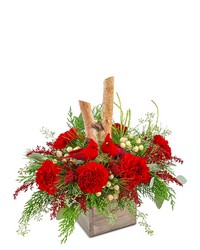 Woodland Cardinal Cheer from Schultz Florists, flower delivery in Chicago