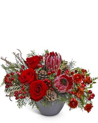 Noir Noel from Schultz Florists, flower delivery in Chicago
