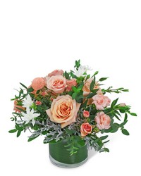 Pretty as a Peach from Schultz Florists, flower delivery in Chicago