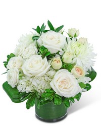 Aurora Angel from Schultz Florists, flower delivery in Chicago