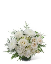 Frosted Swan Elegance from Schultz Florists, flower delivery in Chicago