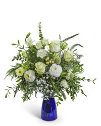 Sapphire Snow from Schultz Florists, flower delivery in Chicago