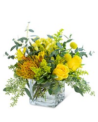 Belle De Jour from Schultz Florists, flower delivery in Chicago