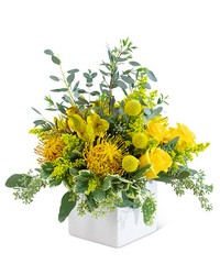 Grand Radiance from Schultz Florists, flower delivery in Chicago