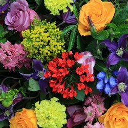 Designer's Choice Fresh Flower Vased Arrangement from Schultz Florists, flower delivery in Chicago