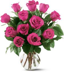 12 Hot Pink Roses from Schultz Florists, flower delivery in Chicago