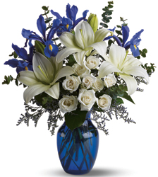 Blue Horizons from Schultz Florists, flower delivery in Chicago
