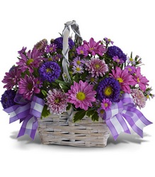 Daisy Day Dreams from Schultz Florists, flower delivery in Chicago