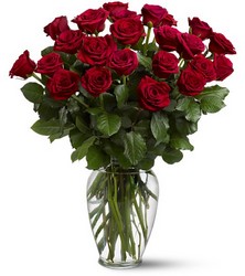 Two Dozen Red Roses from Schultz Florists, flower delivery in Chicago